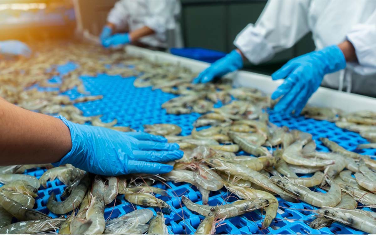 ΧΡΗΜΑΤΟΔΟΤΗΣΗ ΣΤΗ ΔΡΑΣΗ «ΜΕΤΑΠΟΙΗΣΗ ΠΡΟΪΟΝΤΩΝ ΑΛΙΕΙΑΣ ΚΑΙ ΥΔΑΤΟΚΑΛΛΙΕΡΓΕΙΑΣ»